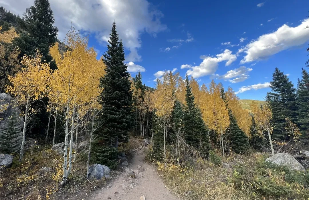 Winter Park Snowshoe Trails - Try Rendezvous